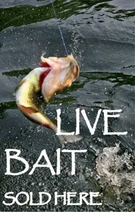 Live Bait Sold Here-  28"w x 44"h Styrene Insert