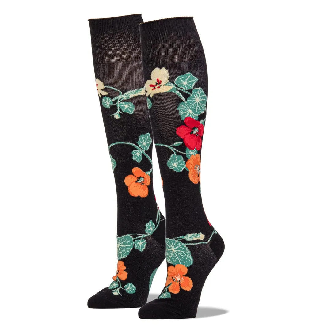 Nasturtiums Socks Women's Knee High Sock