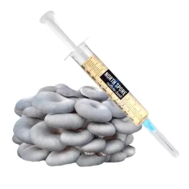 Organic Blue Oyster Mushroom Liquid Culture Syringe